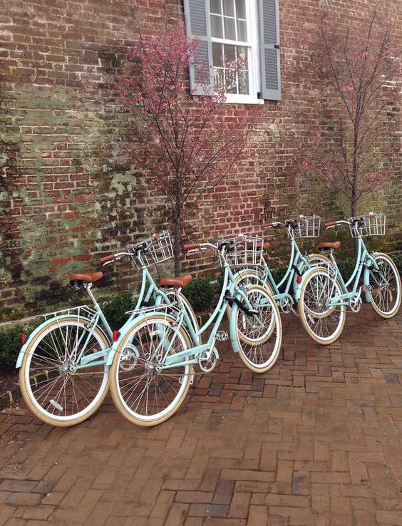Bike Rental